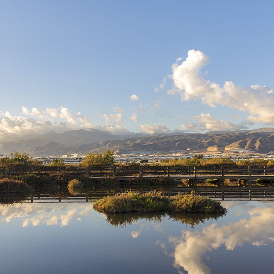 Paseos Junto al Mar 1