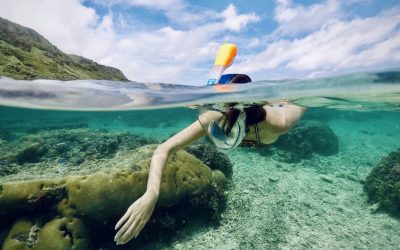 Cursos de snorkel